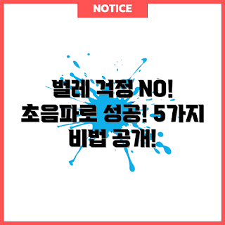 초음파벌레퇴치기, 벌레 퇴치 팁, 초보자를 위한 퇴치기, 효과적인 벌레 퇴치, 홈케어 수단