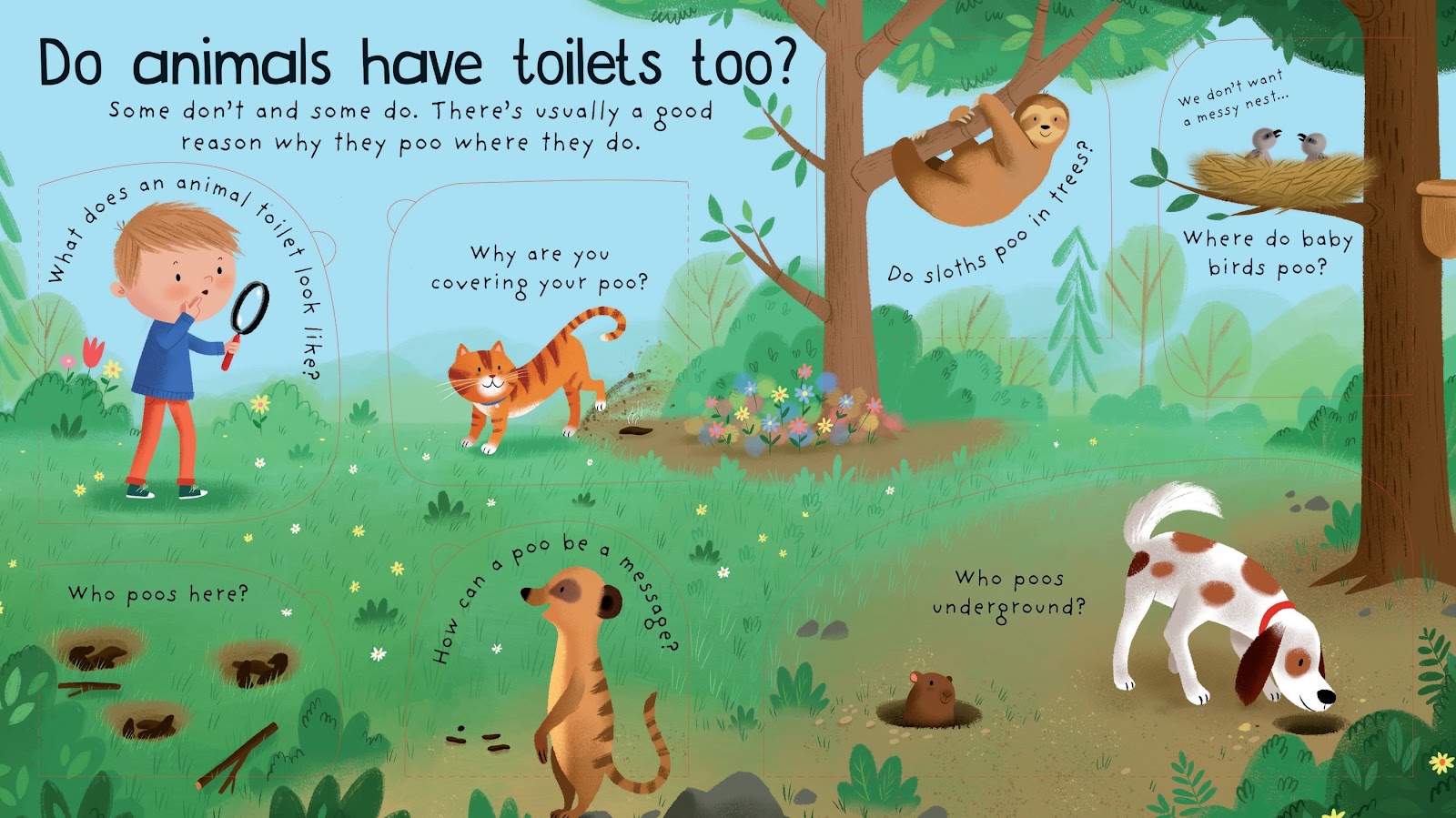 LTF FQ&A Where Does Poo Go - thumbnail 3