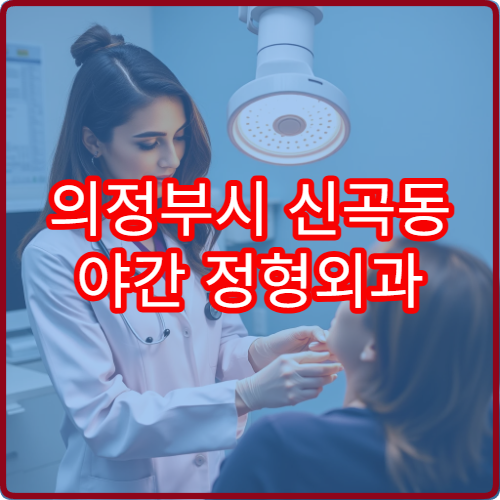 의정부시 신곡동 야간 정형외과 관절통 허리통증 진료 가능한 곳