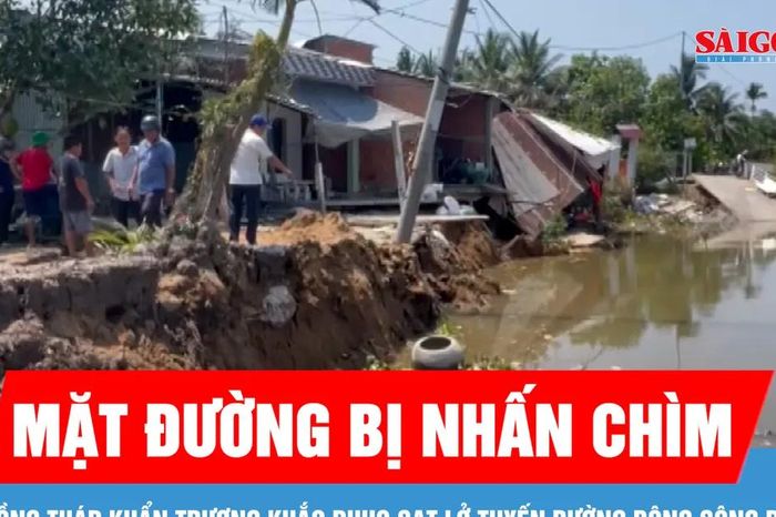 Đồng Tháp khẩn trương khắc phục sạt lở tuyến đường Đông sông Phú An - Báo Sài Gòn Giải Phóng