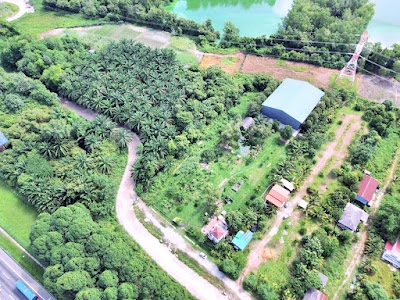 Agricultural Land (Industrial) Kampung Dengkil Facing Highway — foto 5/10