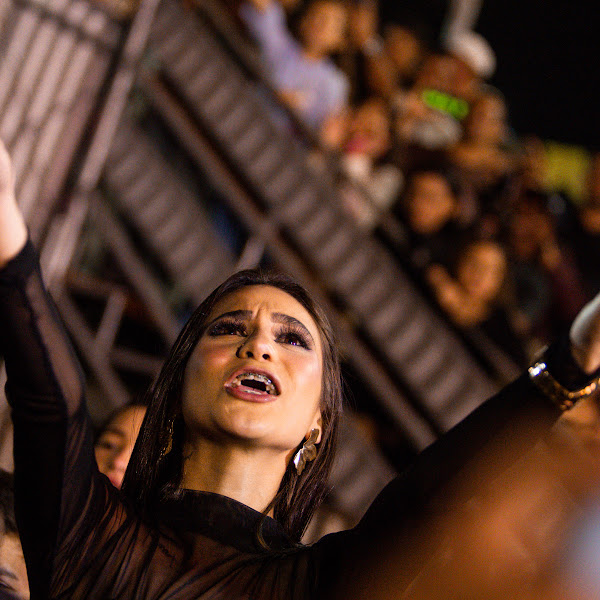 Imagem #7
