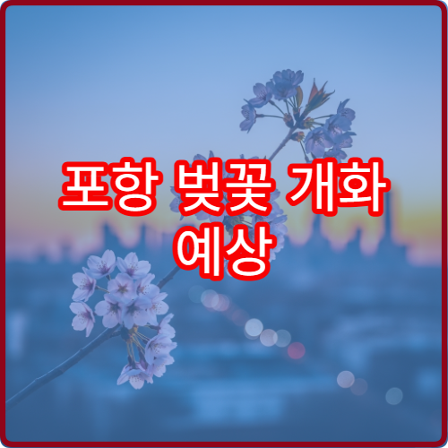 포항 벚꽃 개화 예상 포항 벚꽃 언제 필까
