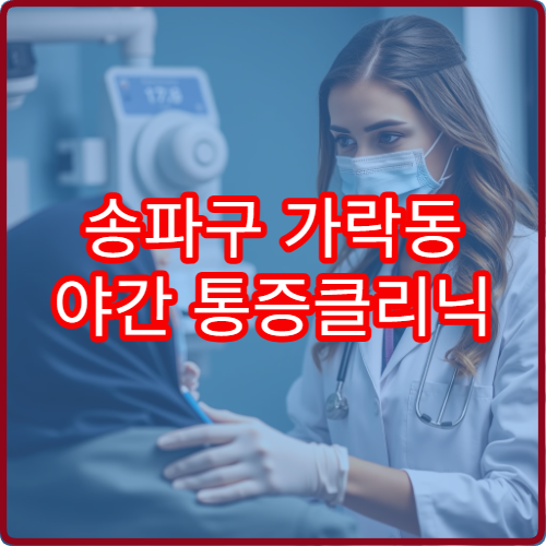 송파구 가락동 야간 통증클리닉 진료 병원 근골격계 통증 치료 정보