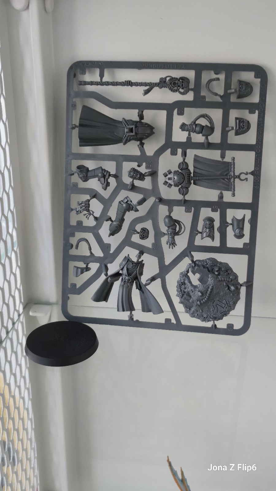 Chief Librarian Tigurius