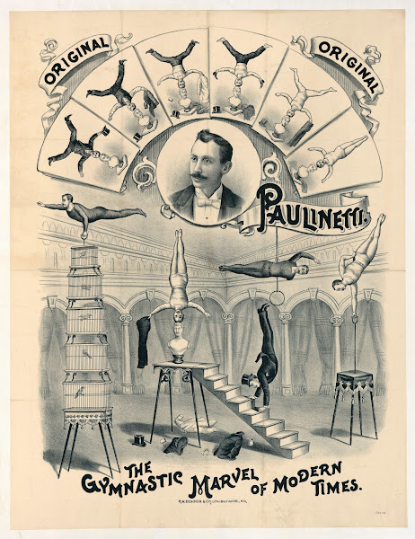 Original Paulinetti The Gymnastic Marvel Of Modern Times 1890