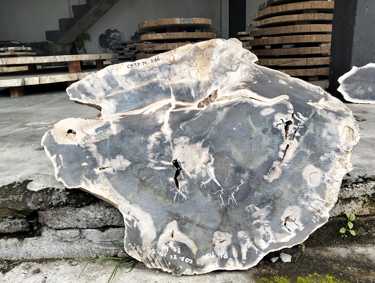 SLICE COFFEE TABLE — SKU CFTPN.066 | Petrified Wood by PJ Antique Bali
