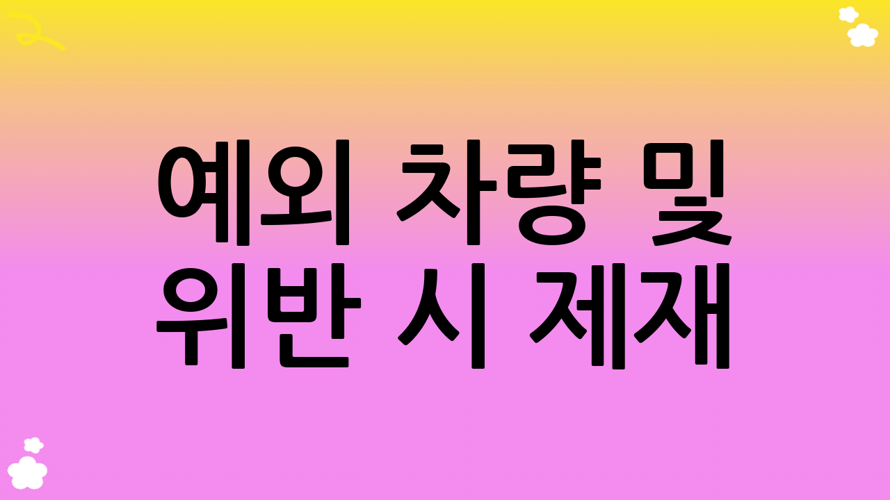 예외 차량 및 위반 시 제재