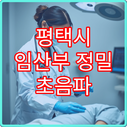 평택시 임산부 정밀 초음파 및 산전검사 프로그램 운영 병원 정보