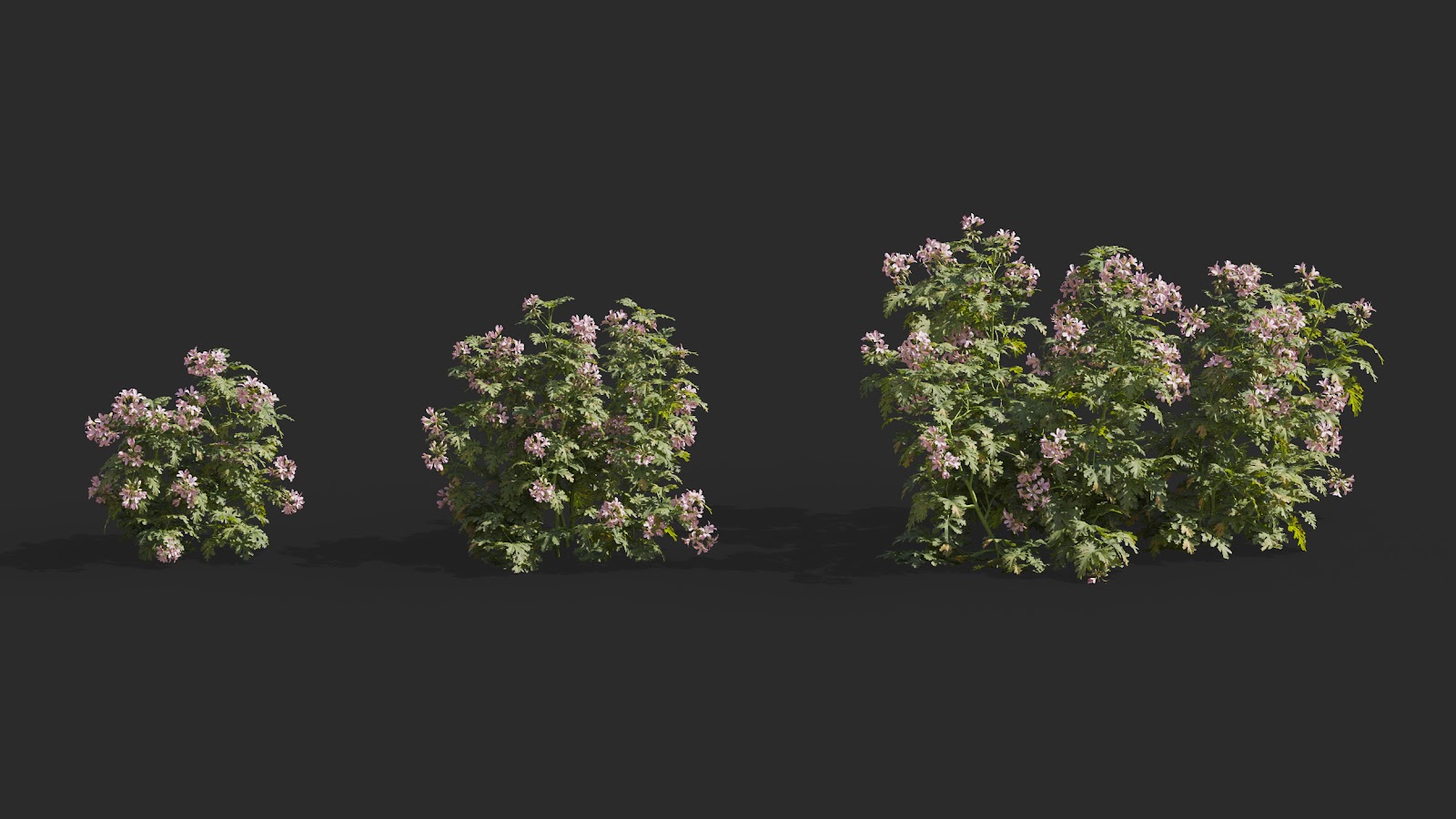 Maxtree - Plant Models Vol.64
