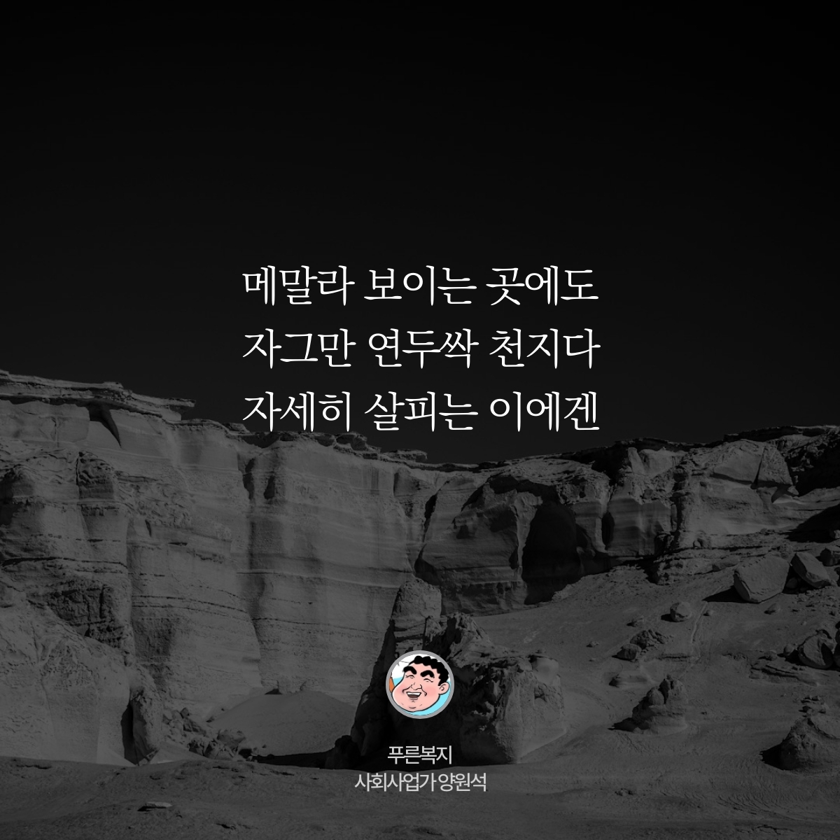 카드뉴스
