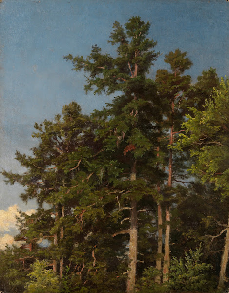 Eichenwipfel 1860