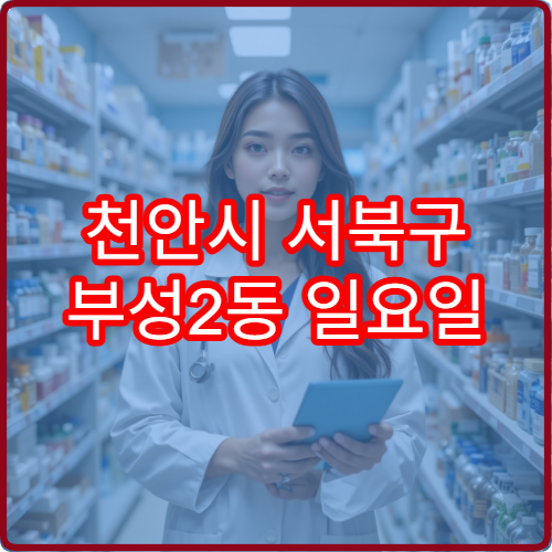 천안시 서북구 부성2동 일요일 영업 약국 당직 정보 정리