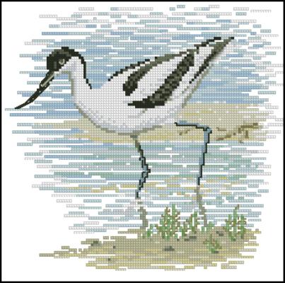 CMP 360220 Pattern