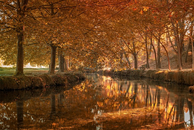 Gambar Ilustrasi Artikel