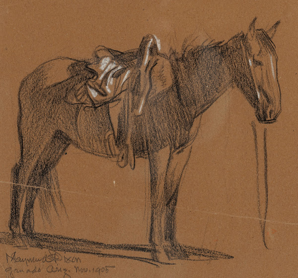 Horse Study 1905