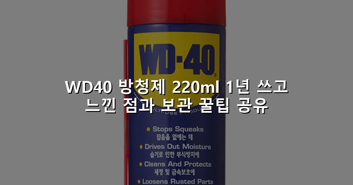 WD40 방청제 220ml 1년 쓰고 느낀 점과 보관 꿀팁 공유