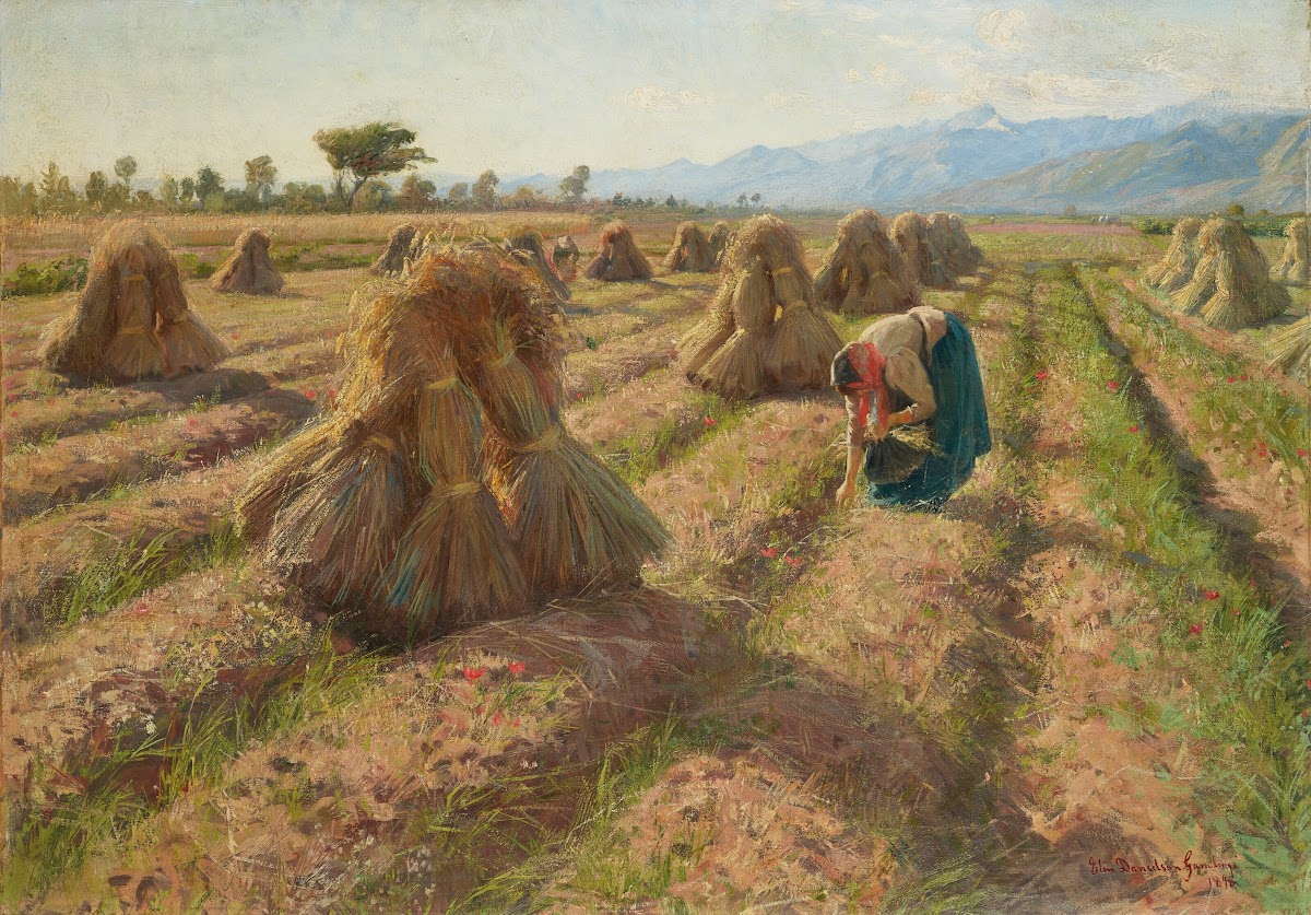 Harvest 1898