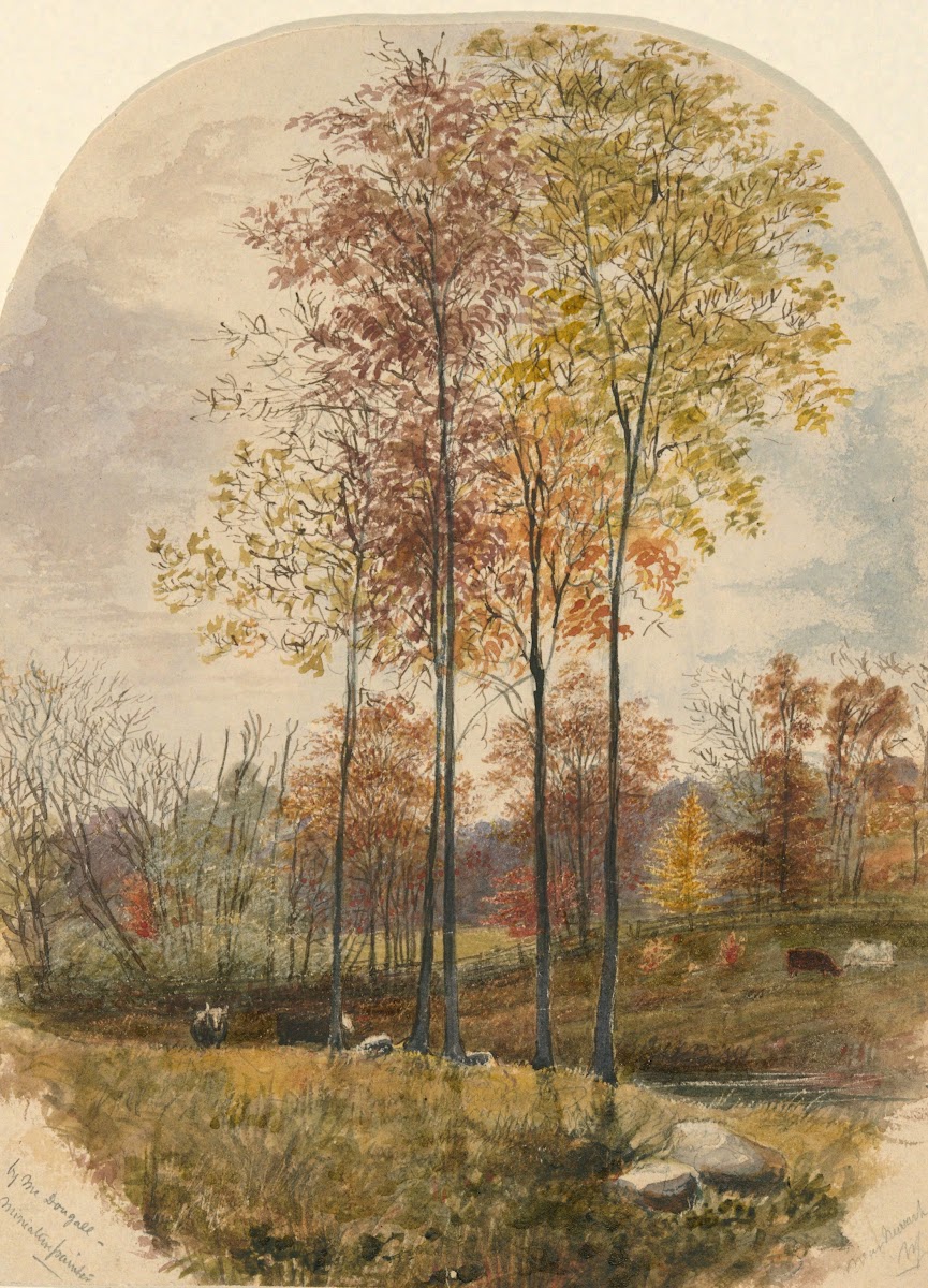 FallLandscape