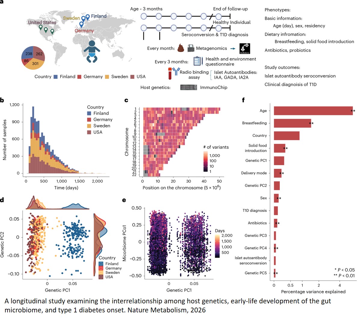 Gut microbiome maturation in early childhood interacts with host genetics to predict type 1 diabetes risk