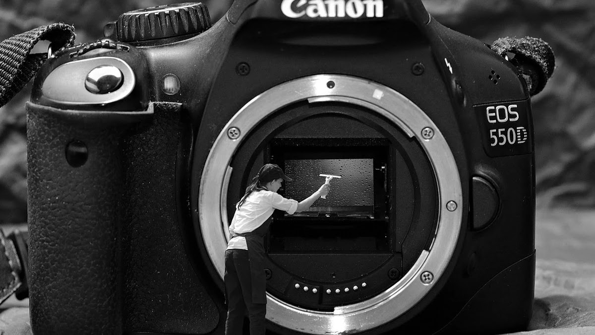 스마트폰 카메라 센서 종류별 구조와 화질 영향 비교