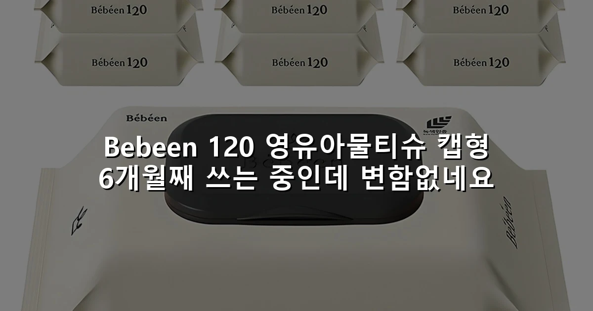 Bebeen 120 영유아물티슈 캡형 6개월째 쓰는 중인데 변함없네요