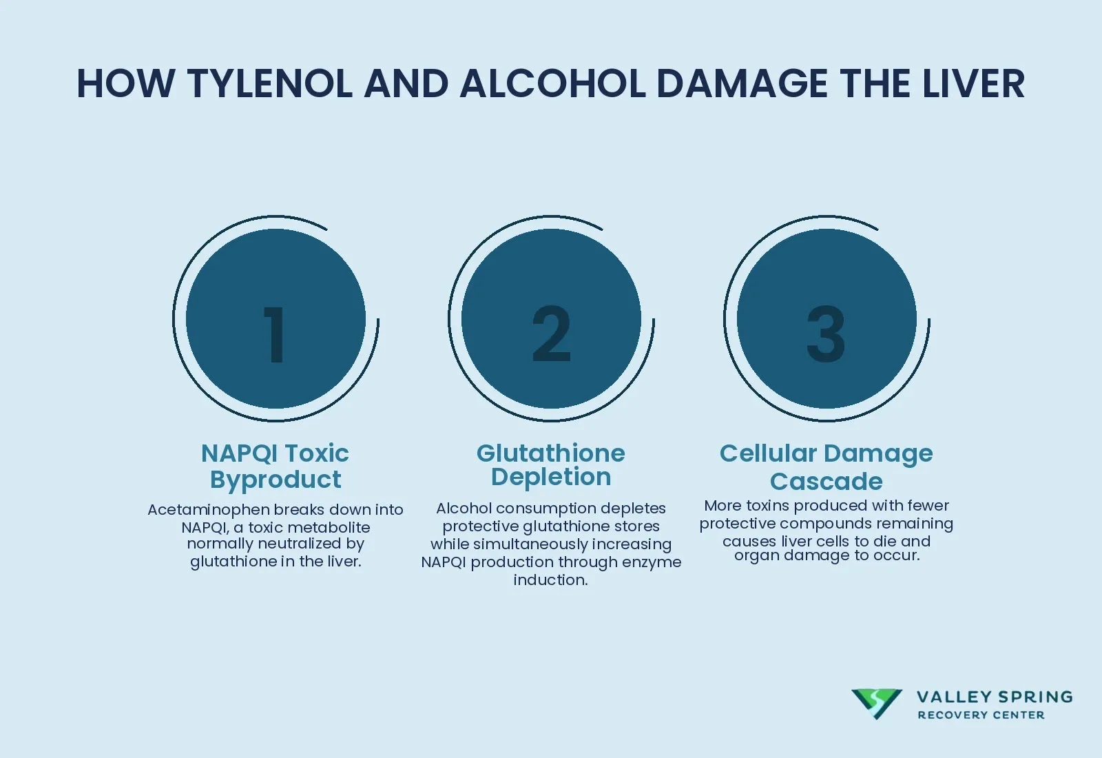 Visual Explanation Of The Metabolic Interaction Between Acetaminophen And Alcohol That Leads To Liver Toxicity