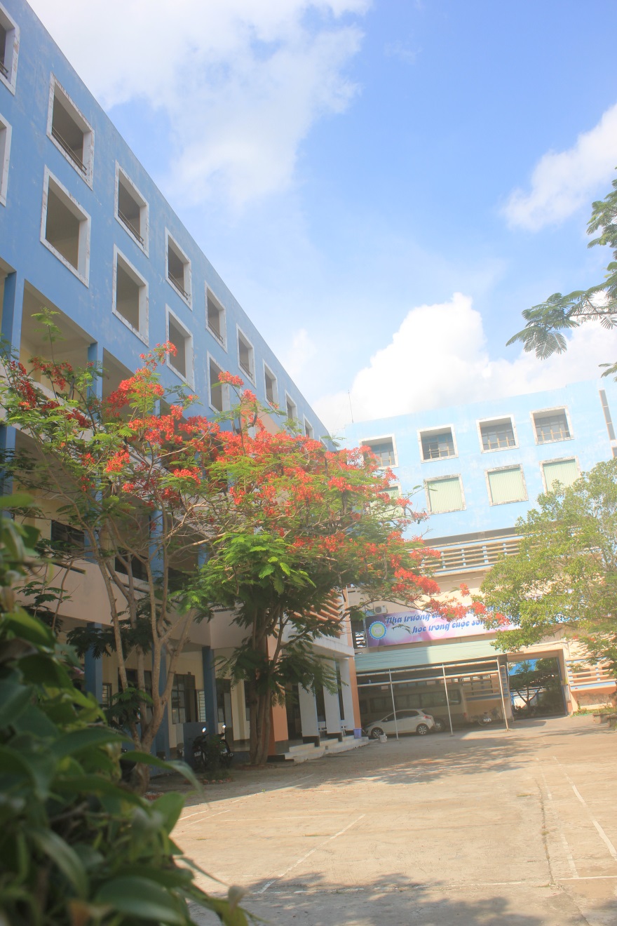 Màu đỏ nhuộm 1 góc sân trường