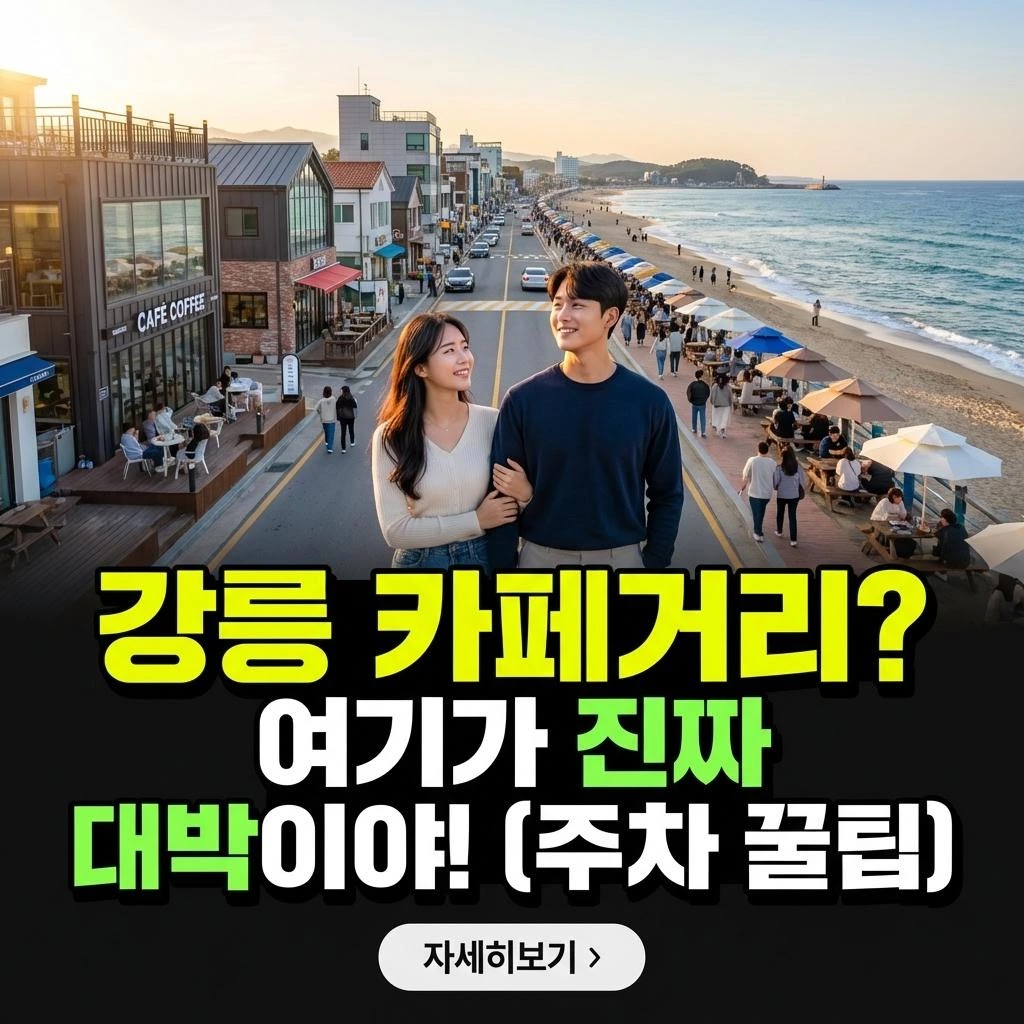 강릉 카페거리, 2026년 최신! 완벽 주차 5단계 가이드