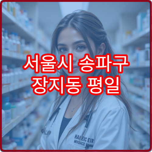 서울시 송파구 장지동 평일 야간 약국 위례 생활권 약국 이용 안내