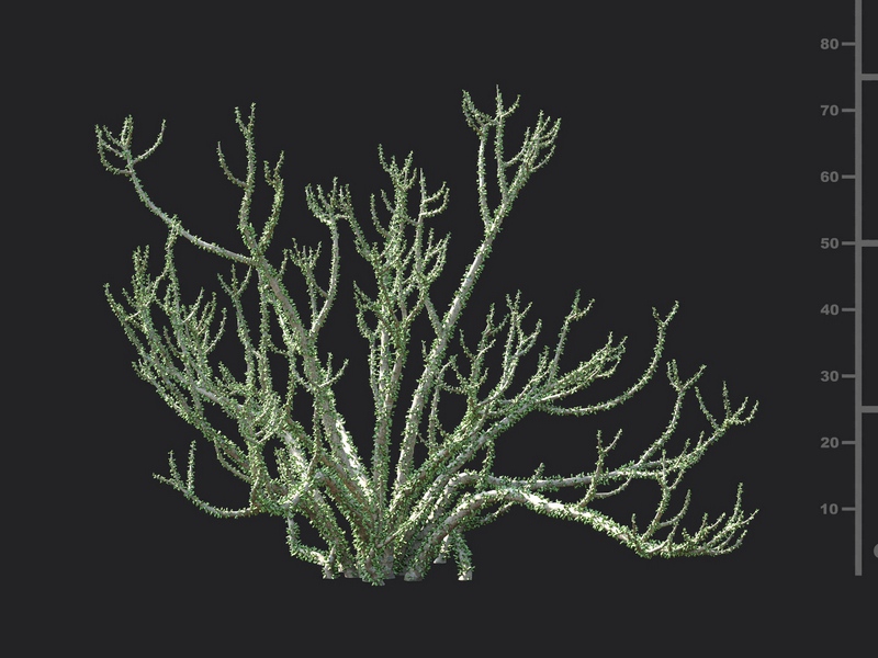 Maxtree - Plant Models Vol.130