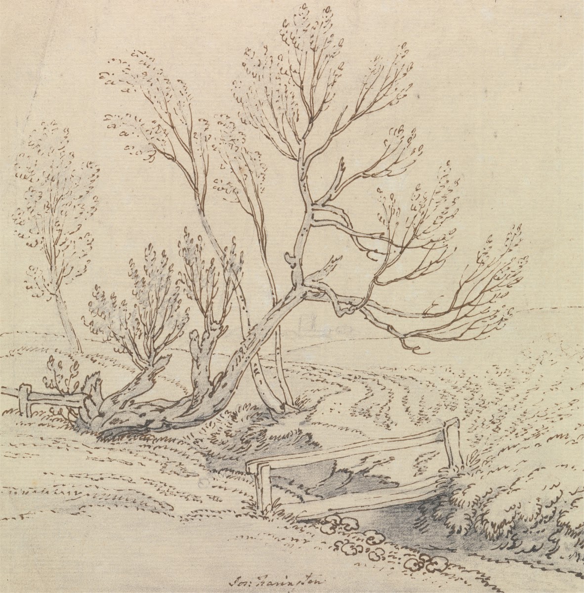 Footbridge Over a Stream Near a Willow Tree