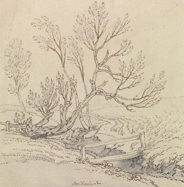 Footbridge Over a Stream Near a Willow Tree