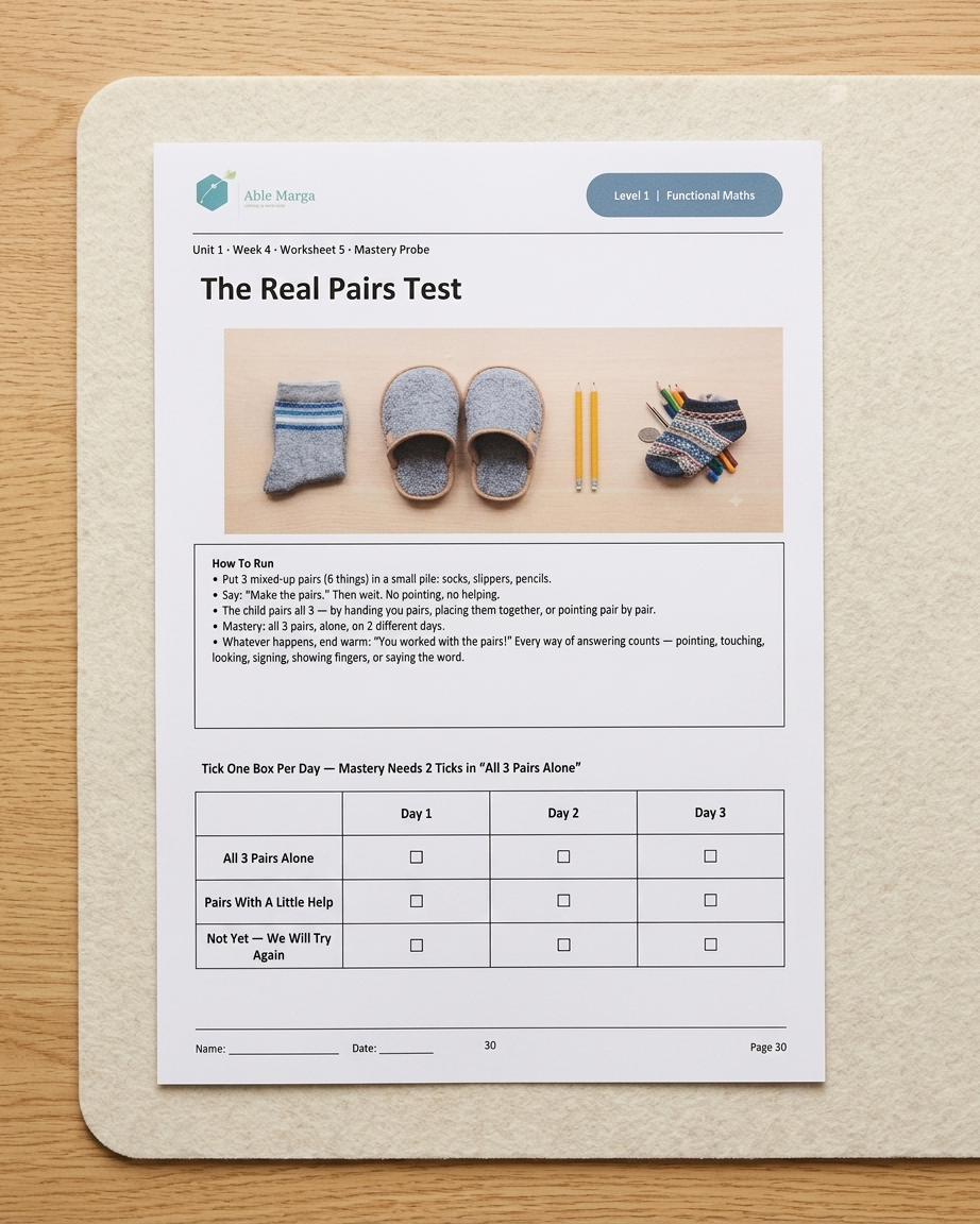 Able Marga Functional Maths sample showing structured teaching and progress review