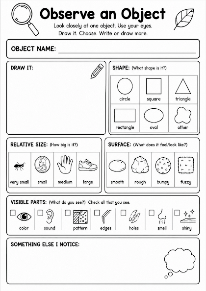 Observe an Object