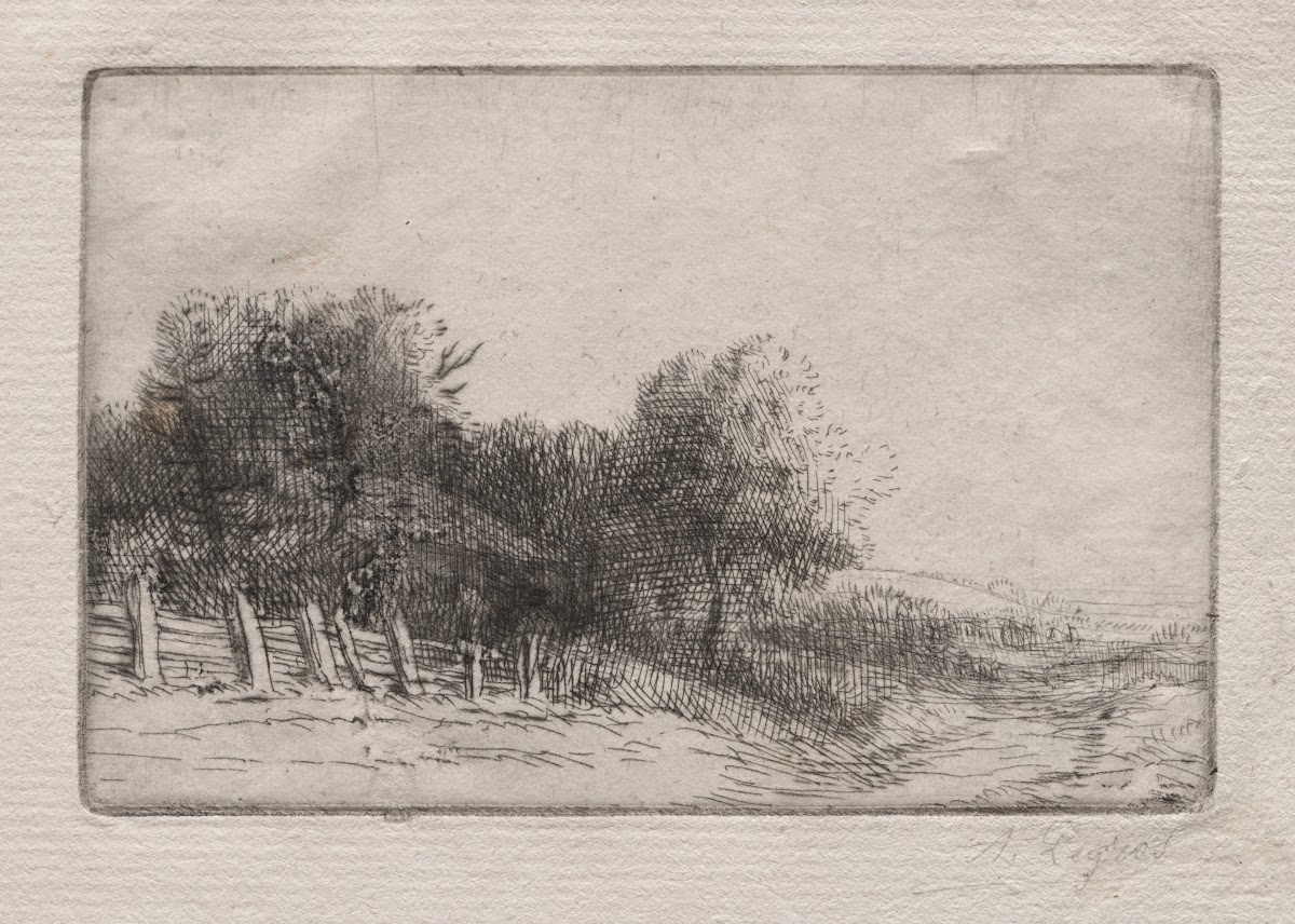 Landscape 7 c 18571911