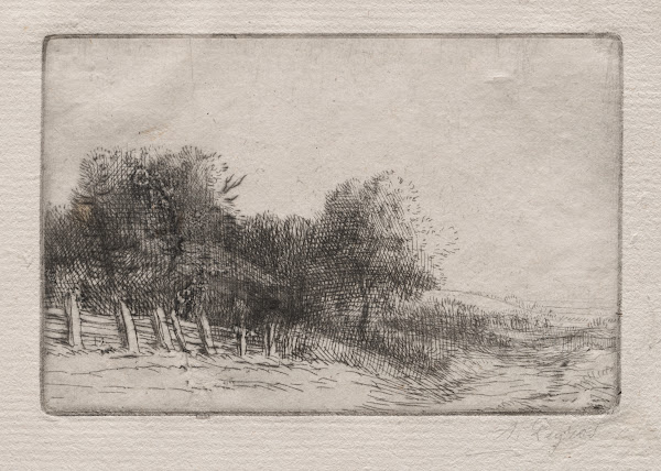 Landscape 7 c 18571911