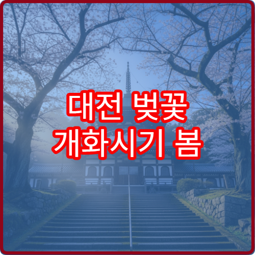 대전 벚꽃 개화시기 봄 벚꽃 절정 시기 정리