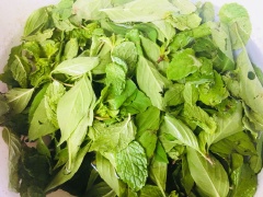 Sơ chế nguyên liệu: các loại rau ăn kèm như rau muống, bắp chuối, giá, rau nêm ngâm muối và rửa thật sạch, cà chua cũng vậy nhé. Rau muống có thể mua về chuốt hoặc mua sẵn ở chợ nha. Sợi bánh canh và chả cá mua về nên trụng sơ qua với nước sôi nhé. Chả cá thái lát vừa ăn.