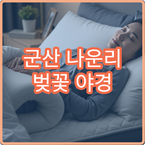 군산 나운리 벚꽃 야경 드론 촬영 농가 구역과 주의사항 공유