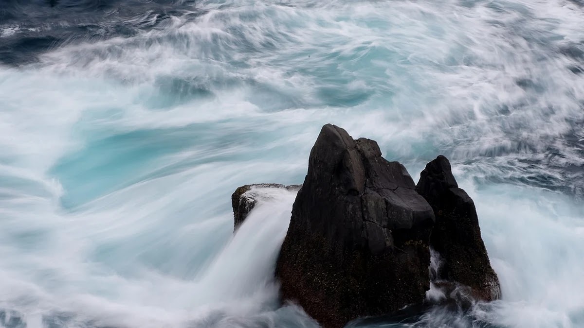 소비자 심리에서 가격 앵커링이 구매 패턴에 미치는 영향 분석