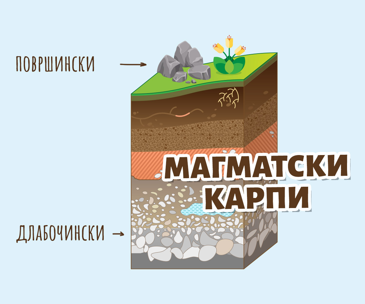 Slika u puškici