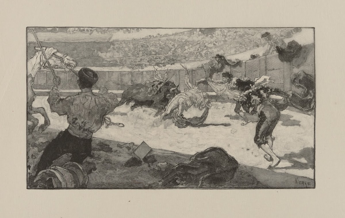 Bull fight