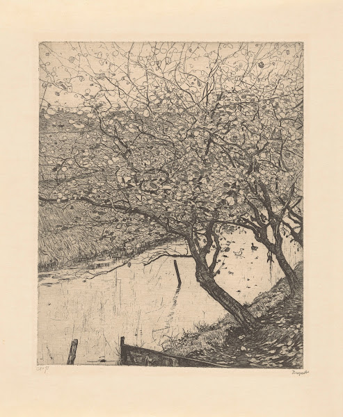 Scheefgegroeide appelbomen langs een sloot 1895