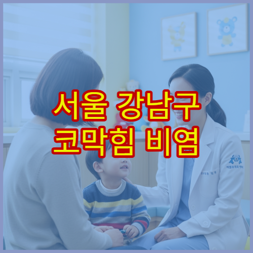 서울 강남구 코막힘 비염 이상 증상 치료 전문 이비인후과 병원
