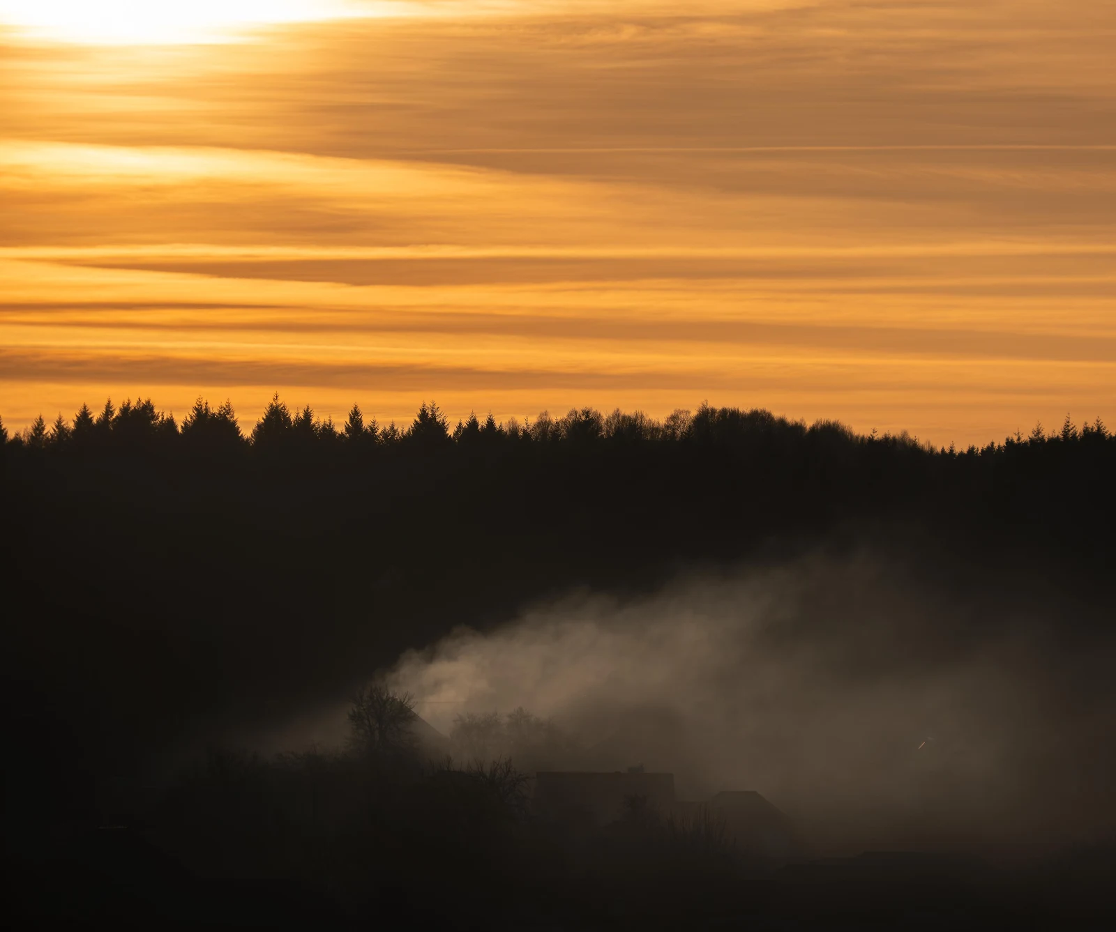 Misty Forest At Golden Sunset - Landscape Photography 4K Wallpaper (4788x4000)