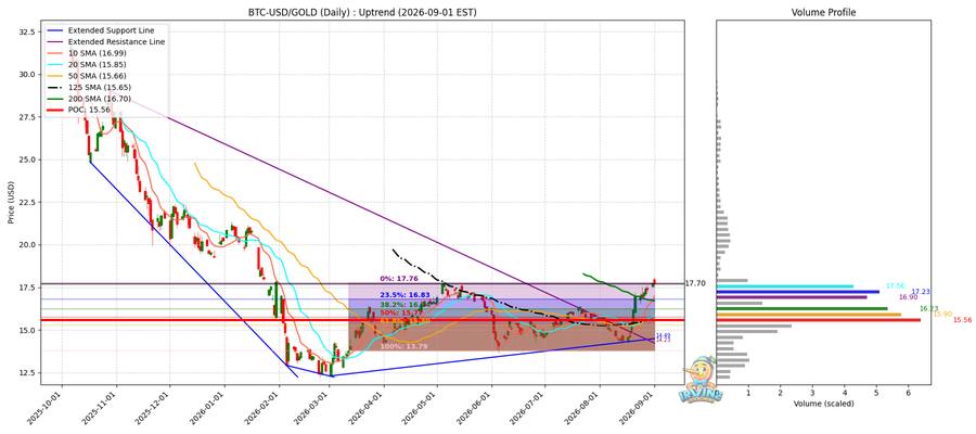 BTC vs Gold 비교