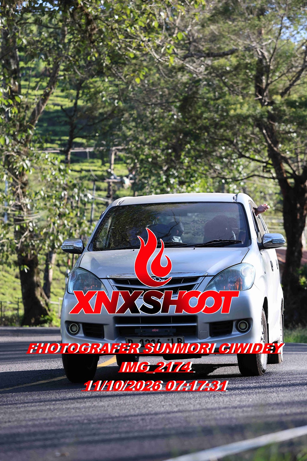 IMG_2174_result.jpg