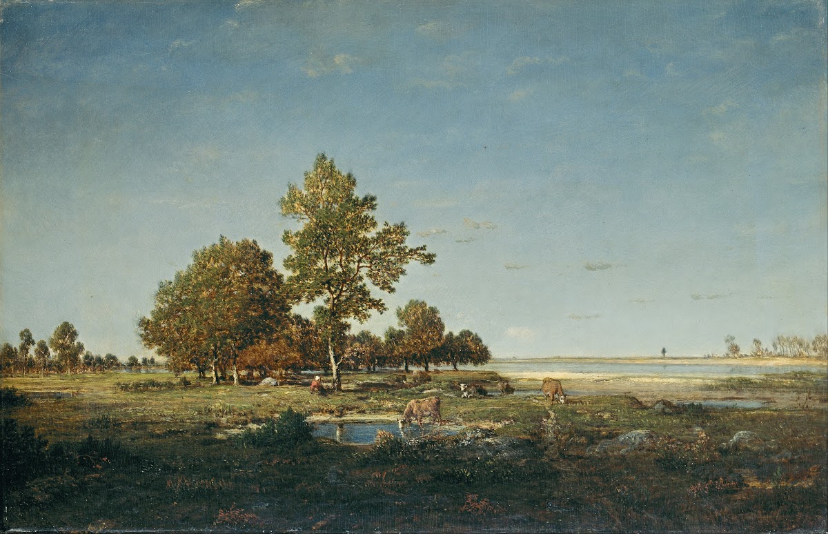Landscape with a clump of trees