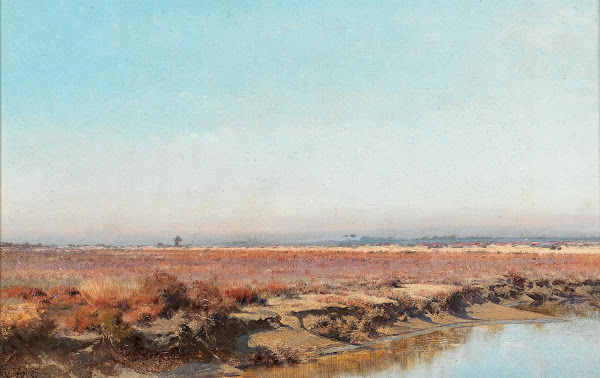A Vast Landscape